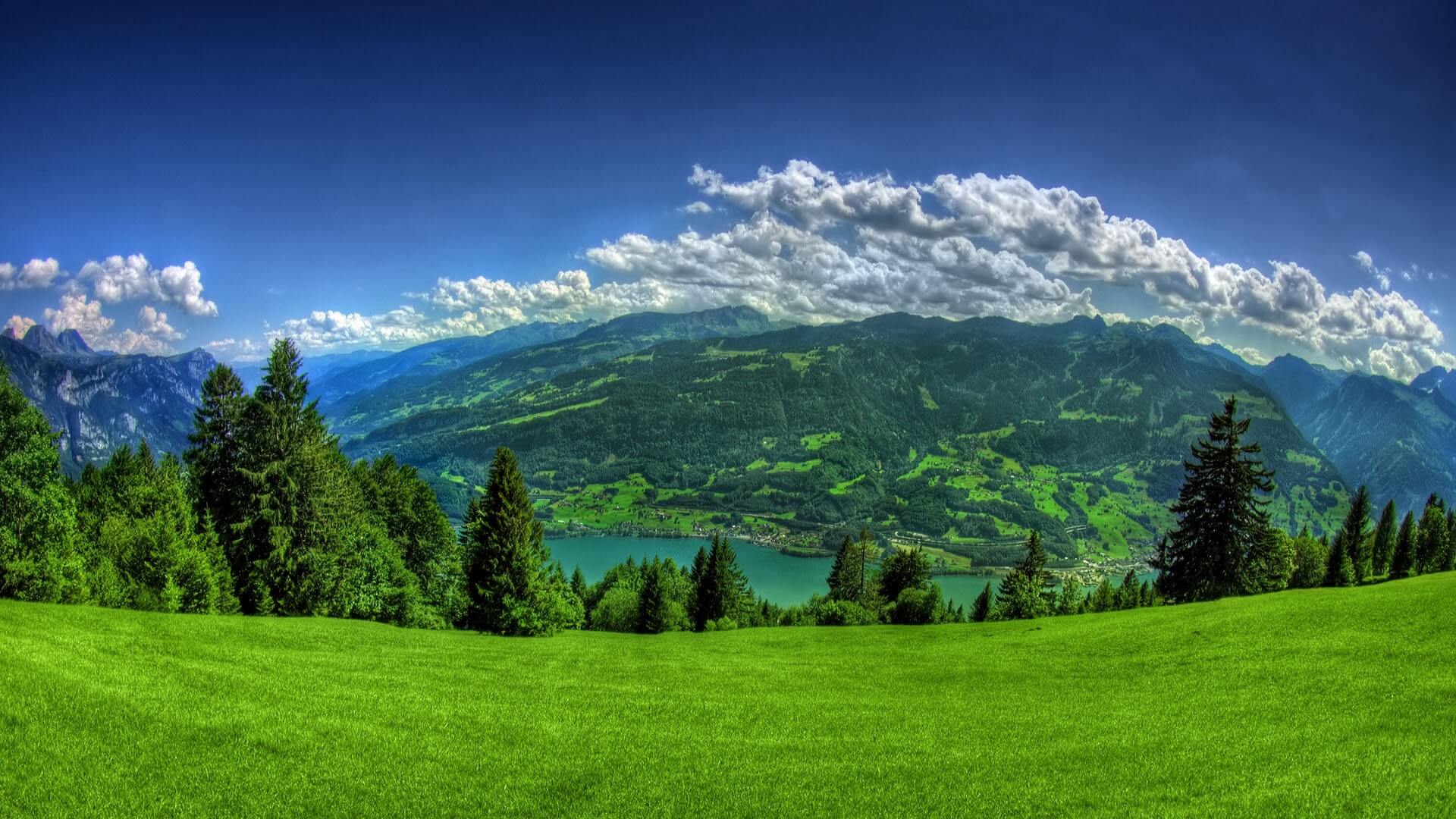 Environment